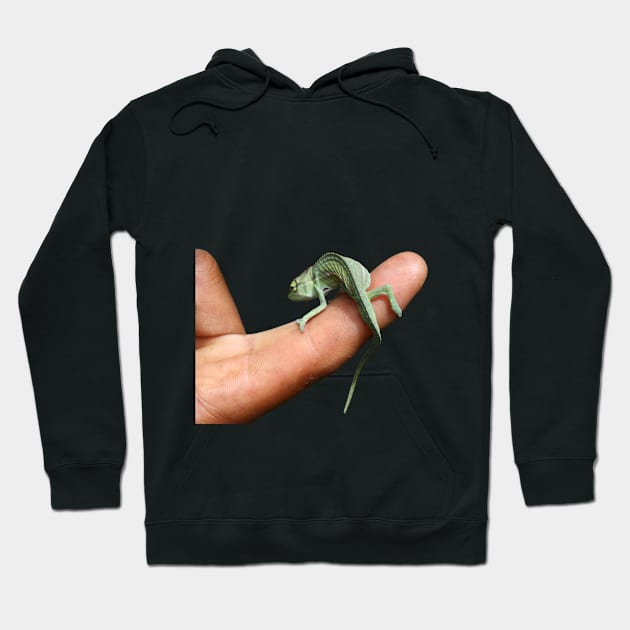 up yours chameleon Hoodie by alsoCAN